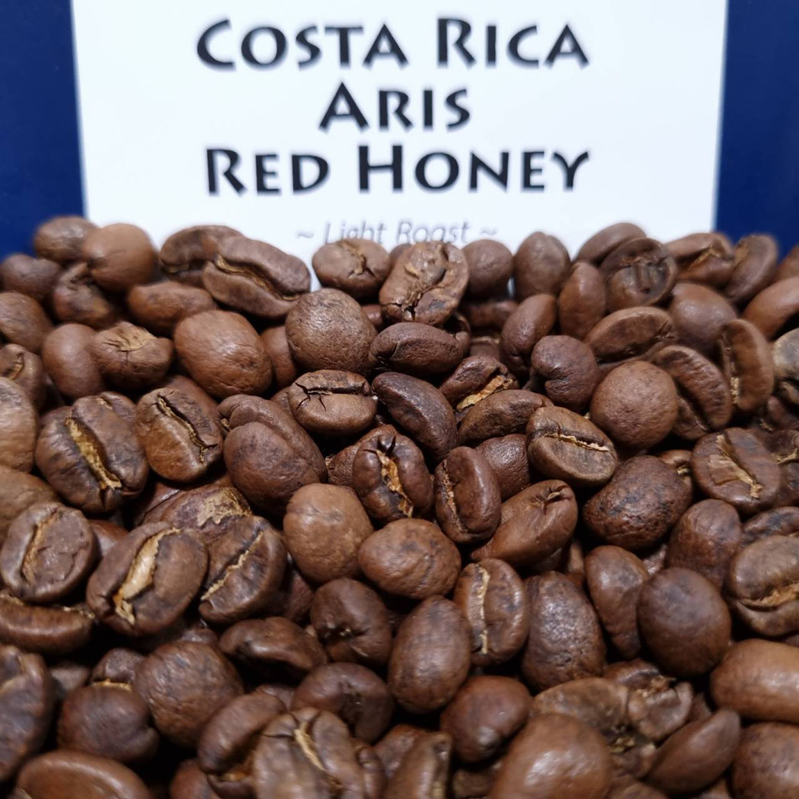 Costa Rica Aris Red Honey Bean