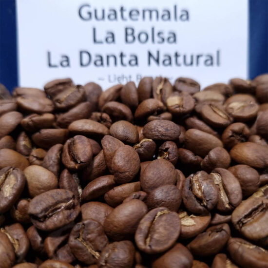 Guatemala La Bolsa La Danta Natural Bean