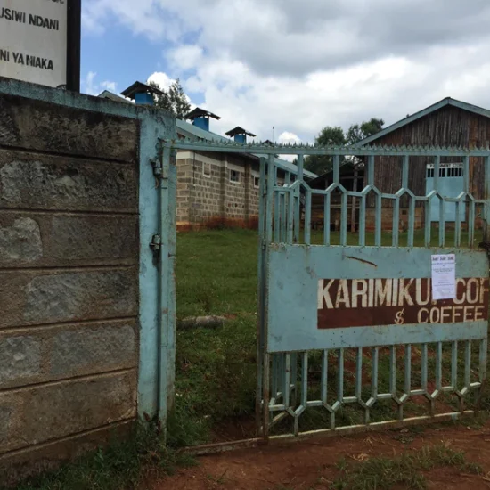 Kenya Karimikui AA Washed - Image 3