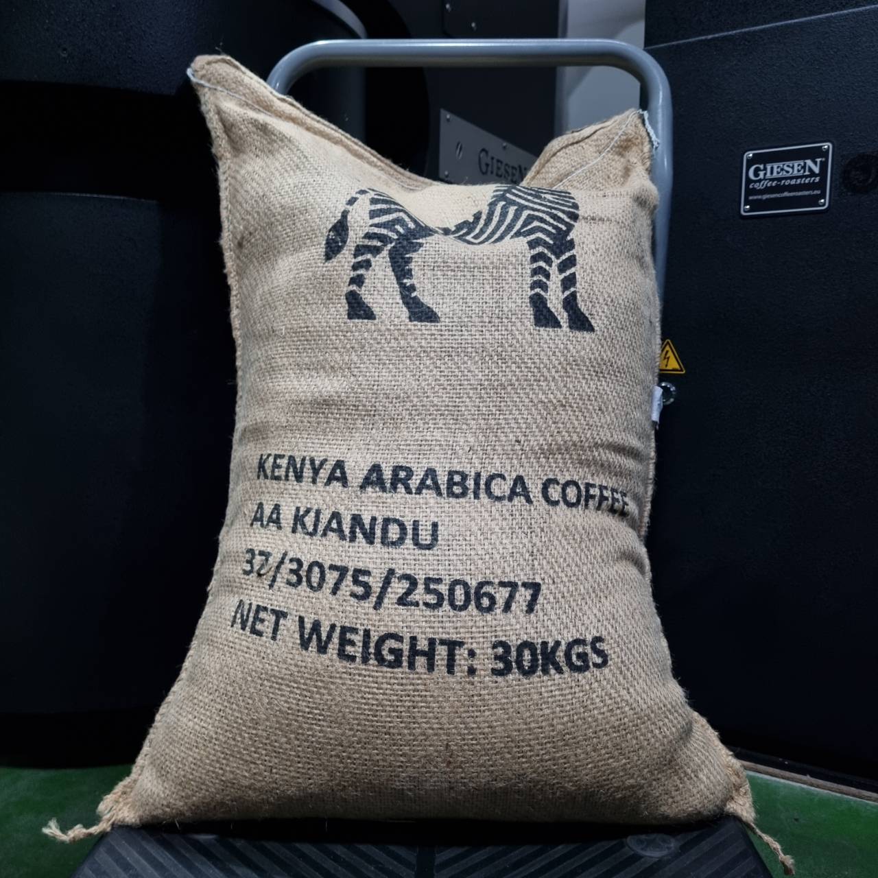 Kenya Kiandu Mutheka AA Washed 2 Kenya Kiandu Mutheka AA Washed - Image 2