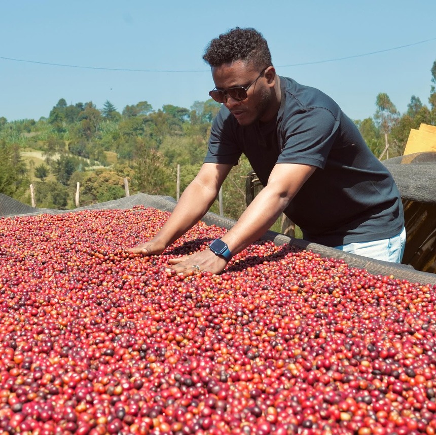 Ethiopia ALO Gute Village Natural - Image 3