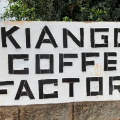 Alternative view of Kenya Kiangoi AA Washed