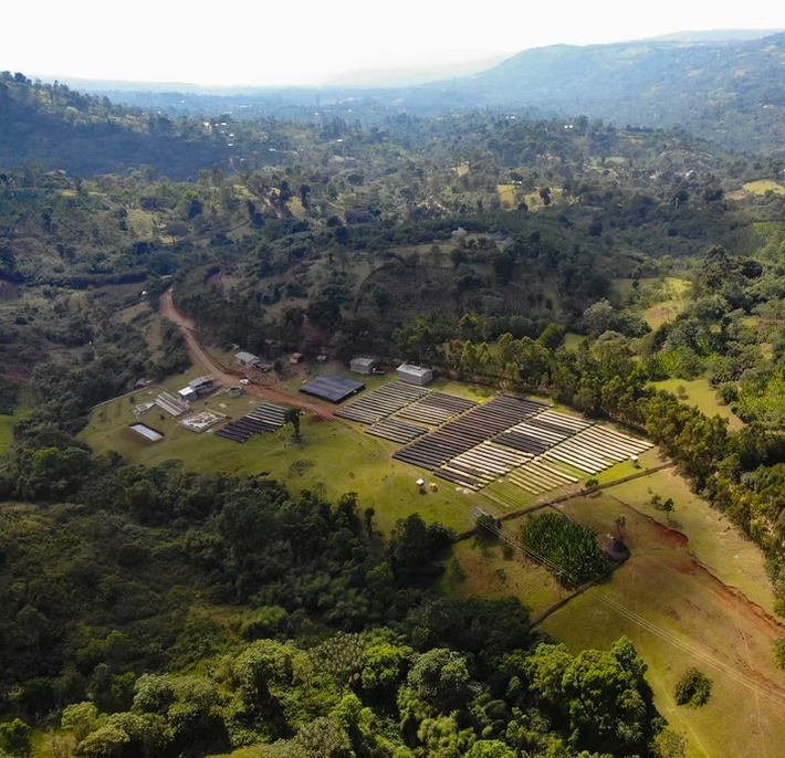 Ethiopia Bensa Hamasho Natural - Image 3