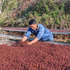 Alternative view of De Hmong Maneepruek Typica Natural