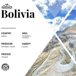 Alternative view of Bolivia Caranavi Taypiplaya Washed
