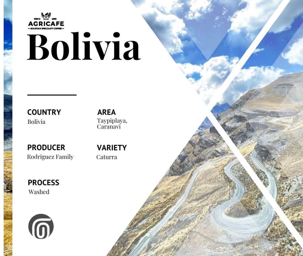 Bolivia Caranavi Taypiplaya Washed - Image 2