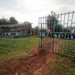 Alternative view of Kenya Ndiaini AA Washed