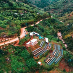 Alternative view of Rwanda Nyabihu Shyira Washed