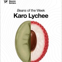 Alternative view of Indonesia Karo Lychee