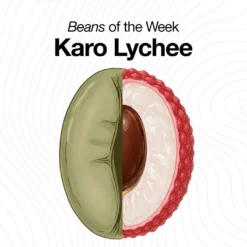 Alternative view of Indonesia Karo Lychee