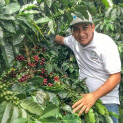 Alternative view of Colombia Finca Monteblanco Watermelon