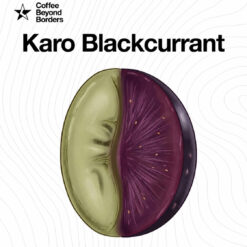 Alternative view of Indonesia Karo Blackcurrant